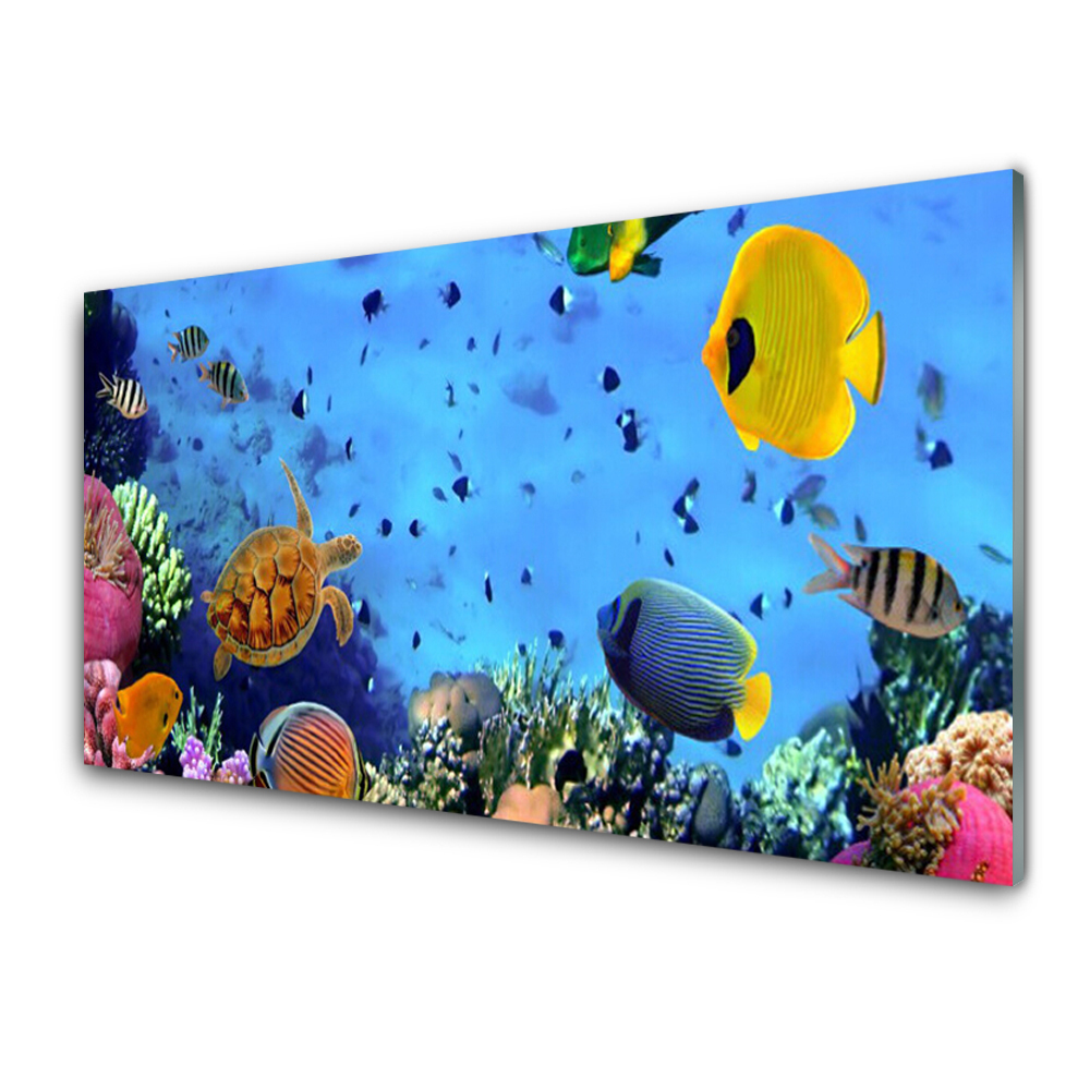 Luxusní skleněný obraz Oceánské ryby Korálový útes