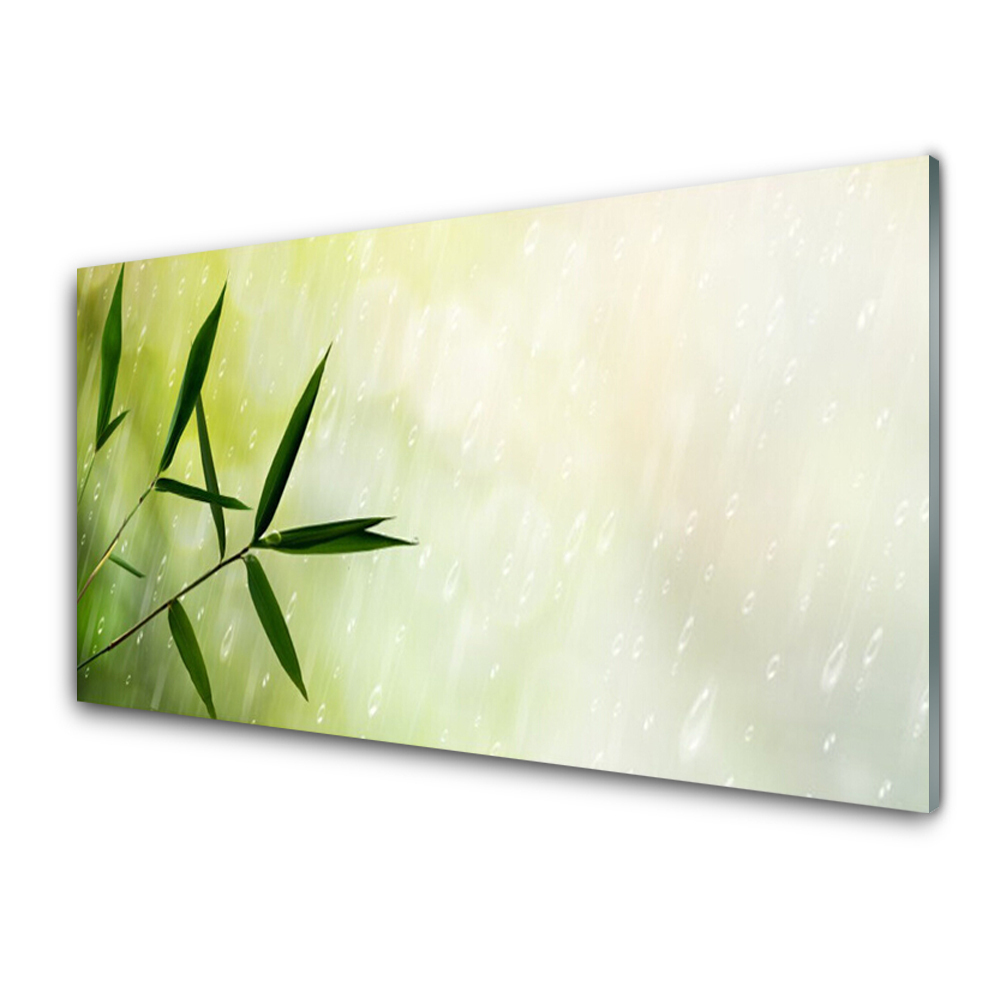 Luxusní skleněný obraz Listy Déšť