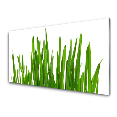 Skleněný obraz na zeď Tráva na zdi