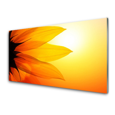Skleněný obraz Žlutý květ Slunce