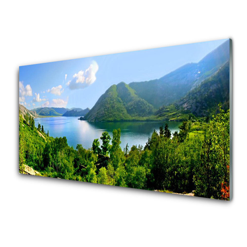 Skleněný obraz Lesní záliv Hory Panorama