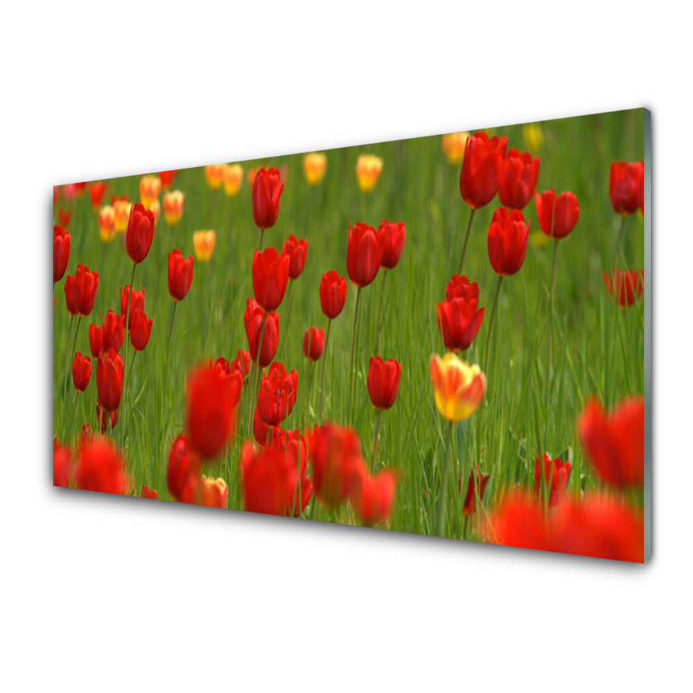 Obraz na skle Tulipány Luční rostliny