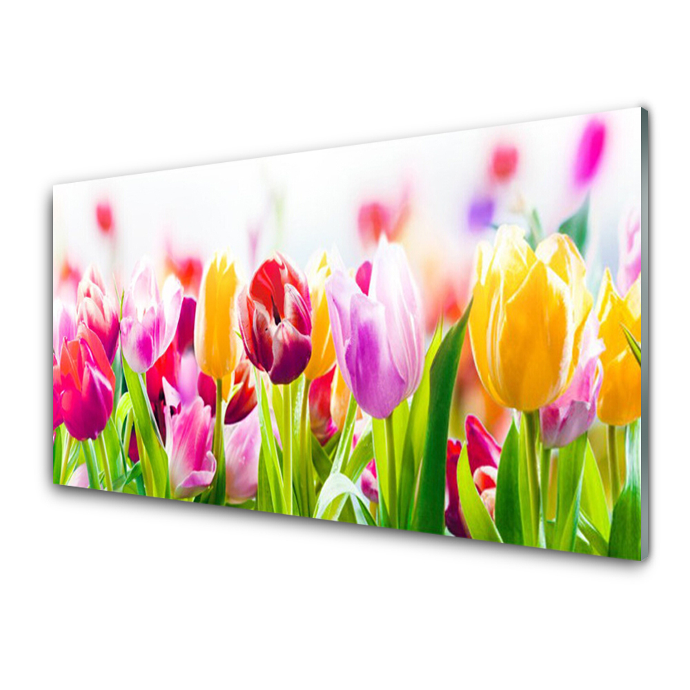 Obraz na skle Barevné tulipány