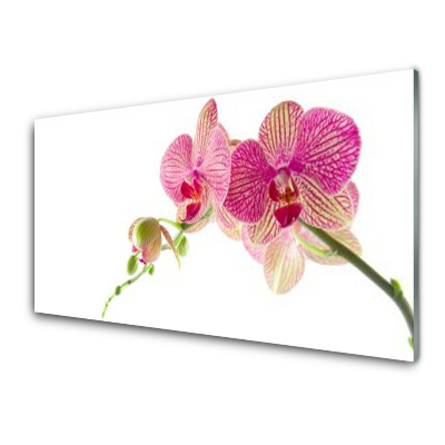 Obraz ze skla Květiny Rostlina