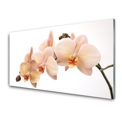 Obraz ze skla Květiny Rostlina