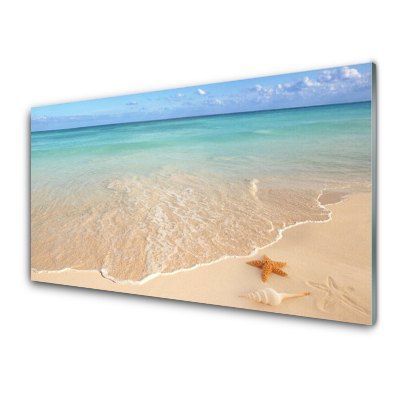 Skleněný obraz na zeď Pláž Hvězdice Pohled