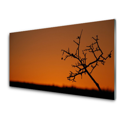 Skleněný obraz na zeď Obrys stromu Západ