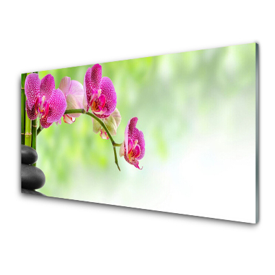 Skleněný obraz na stěnu Orchidej Bambusové kameny