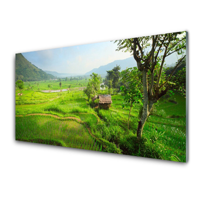 Skleněný obraz na stěnu Pole venkovské chalupy