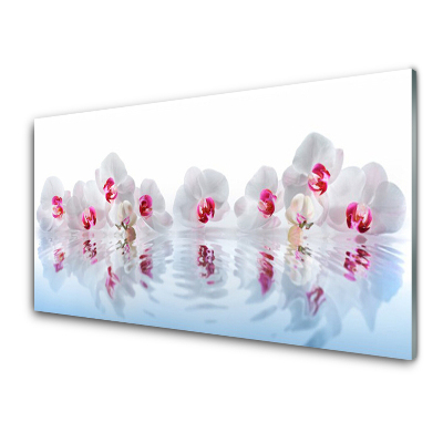 Luxusní skleněný obraz Bílé květy orchidejí a voda