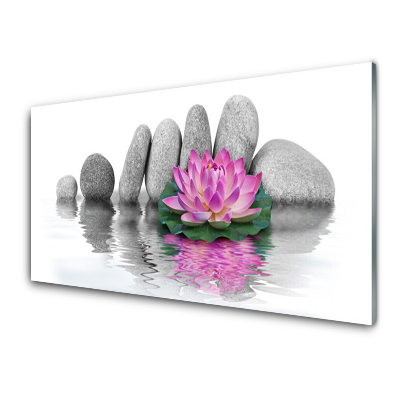 Obraz na skle Růžová lilie na pozadí kamenů
