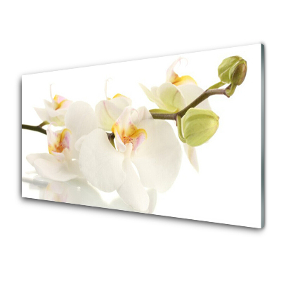 Obraz na skle Orchideje na stonku