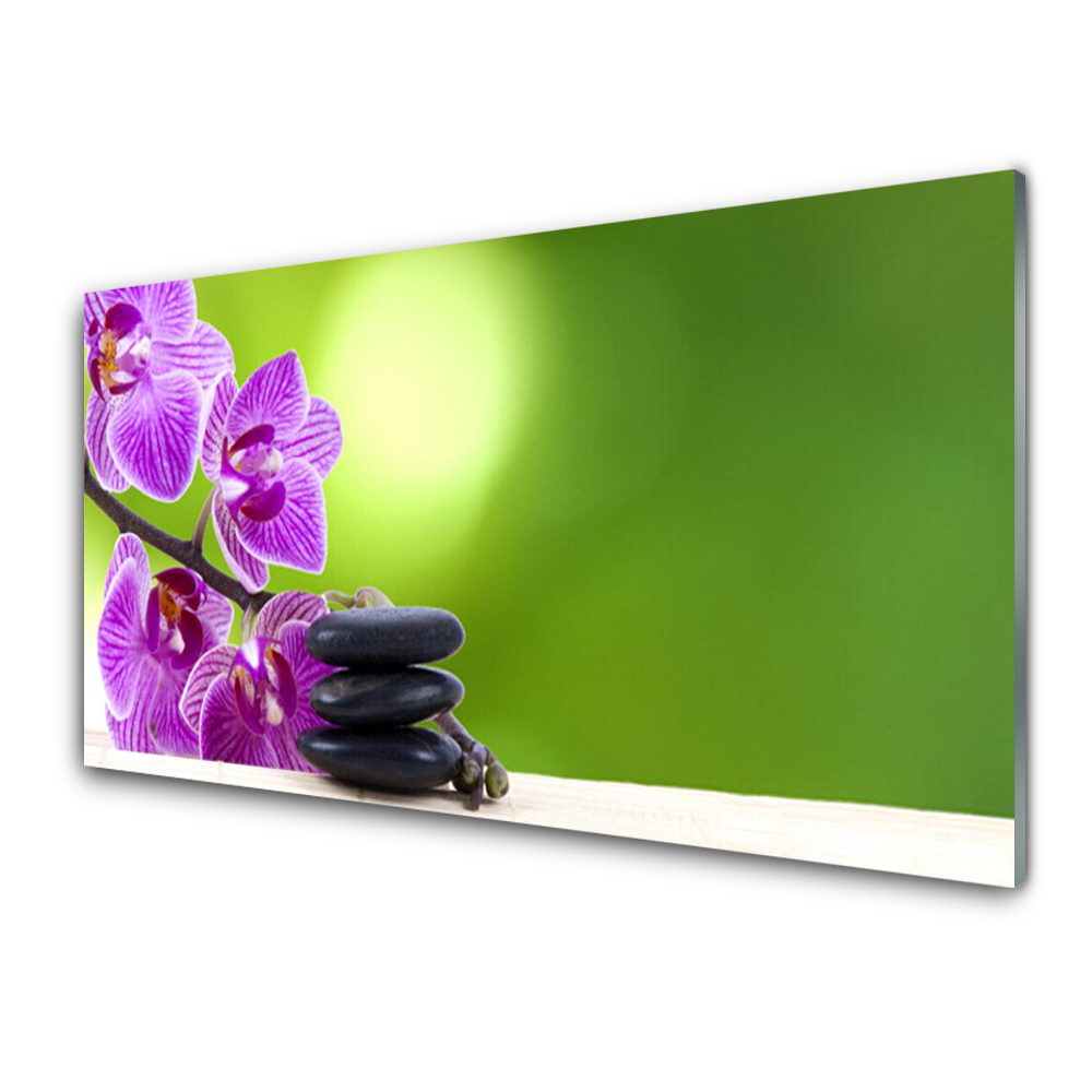 Skleněný obraz na zeď Orchideje na zeleném pozadí