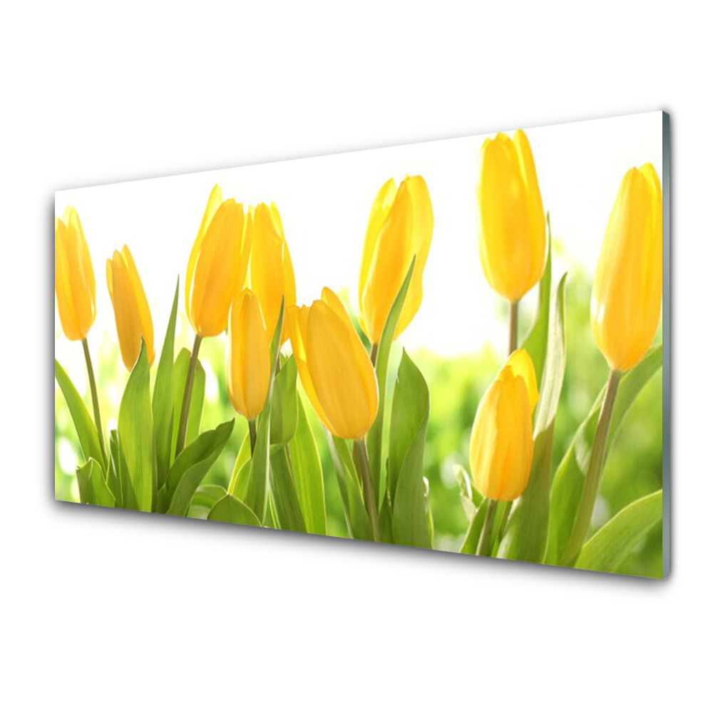 Skleněný obraz Květ žlutého tulipánu
