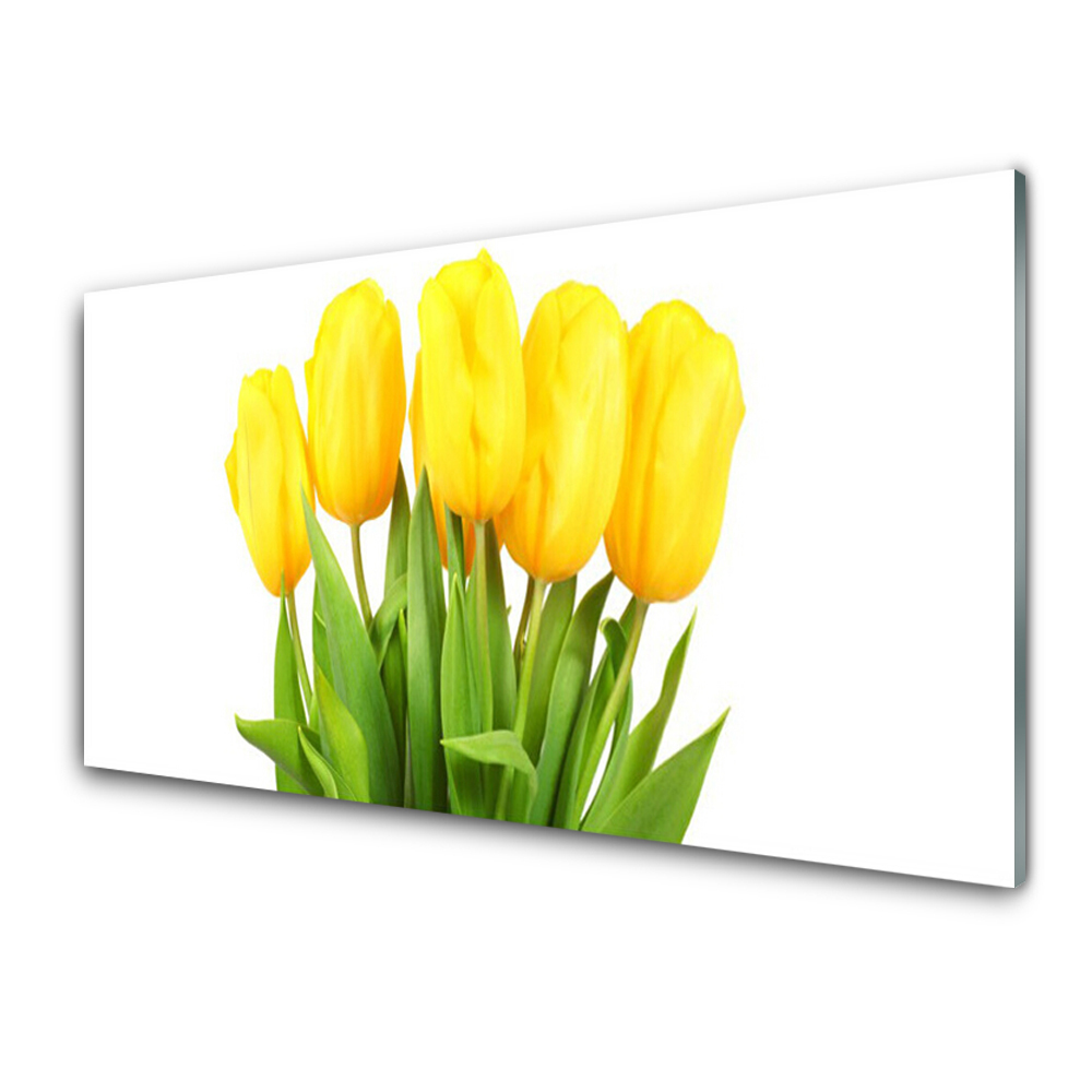 Obraz na skle Tulipány Květina