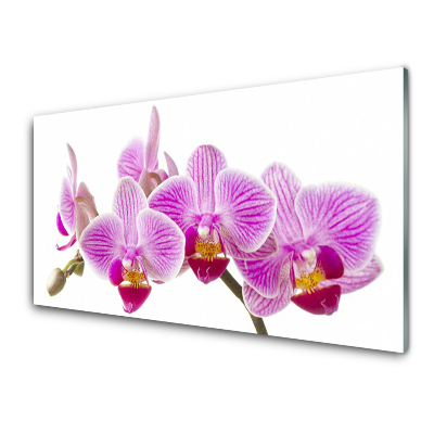 Luxusní skleněný obraz Růžové orchideje