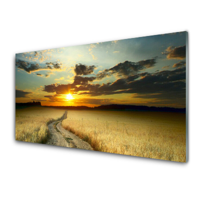 Luxusní skleněný obraz Cesta Pole Krajina