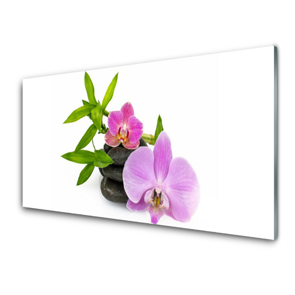Skleněný obraz na zeď Květy orchidejí na bílém pozadí