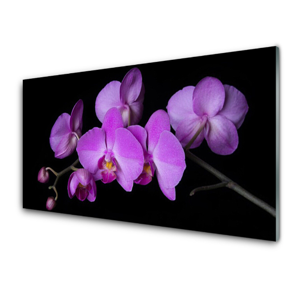 Moderní skleněný obraz Orchidej Orchidej černé pozadí