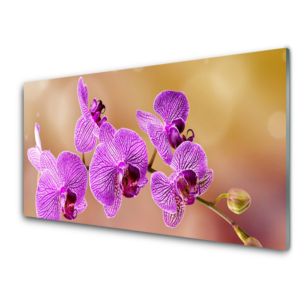 Obraz ze skla Orchidej růžová Stonky květů Příroda