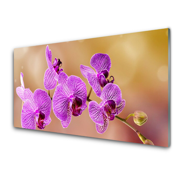Obraz ze skla Orchidej růžová Stonky květů Příroda