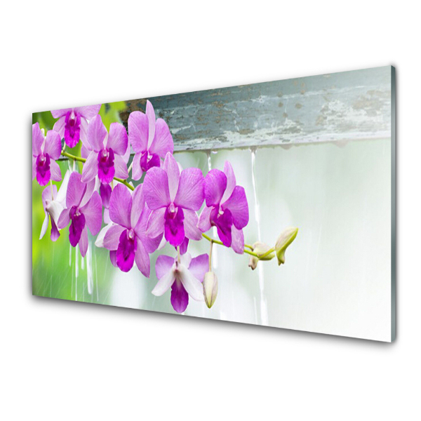 Obraz ze skla Květy orchidejí Kapky přírody