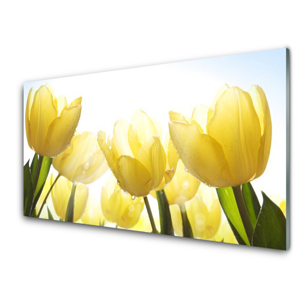 Luxusní skleněný obraz Žluté tulipány zblízka