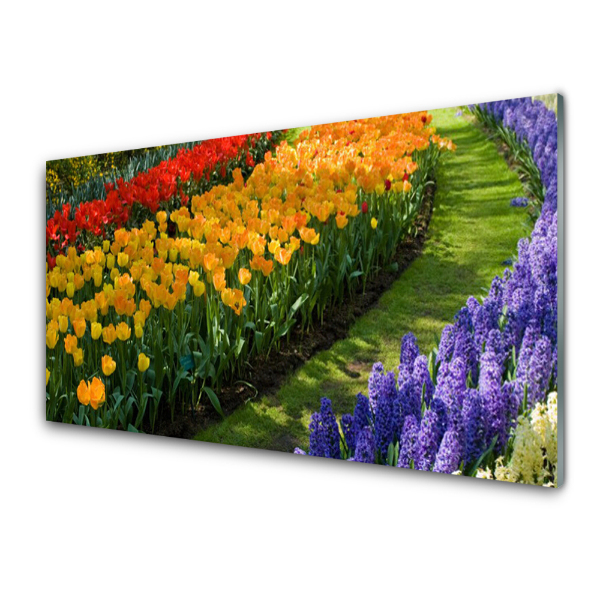 Skleněný obraz Zahrada hyacintů a tulipánů