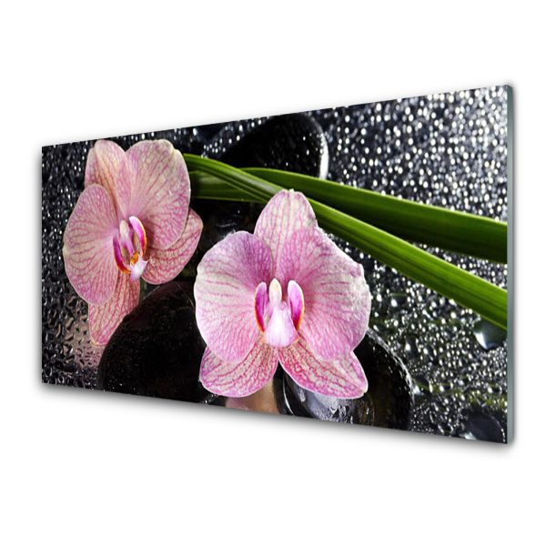 Obraz na skle Orchidej Růžová zenová orchidej