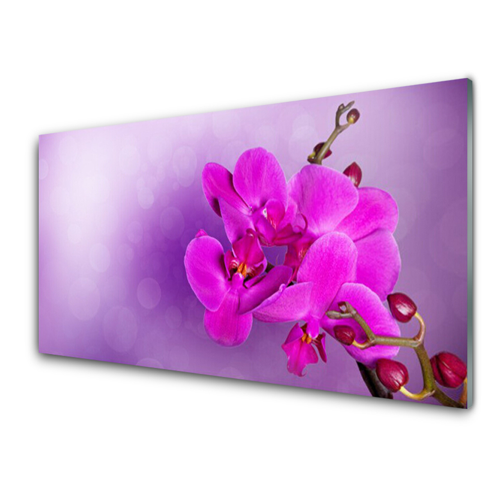 Obraz ze skla Květiny růžové okvětní lístky Orchidej