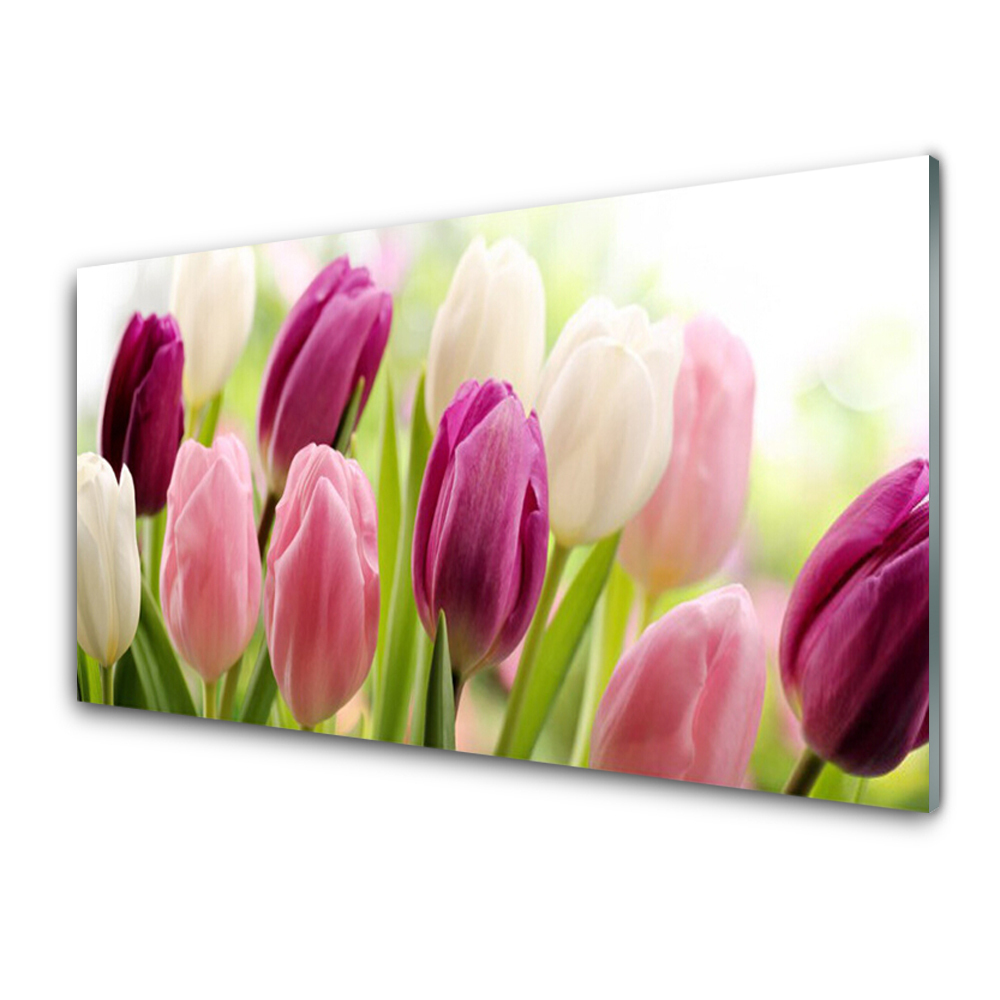 Moderní skleněný obraz Růžové tulipány zblízka