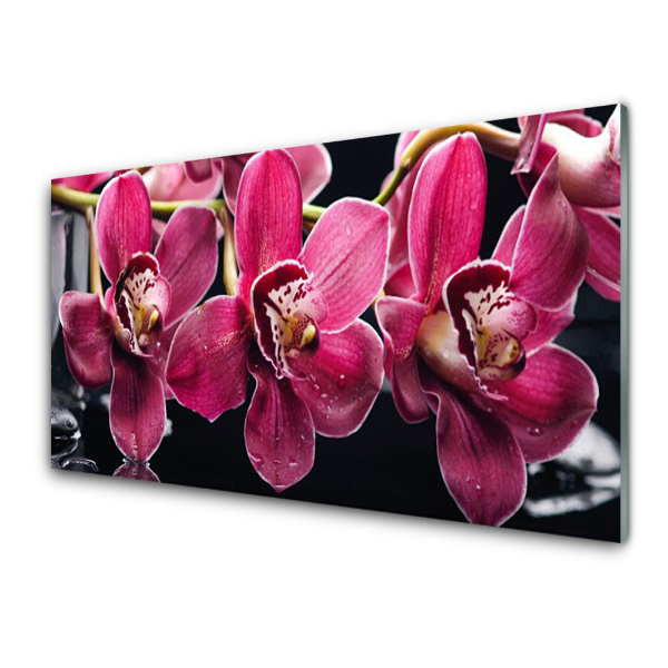 Skleněný obraz na zeď Růžové květy orchidejí Příroda