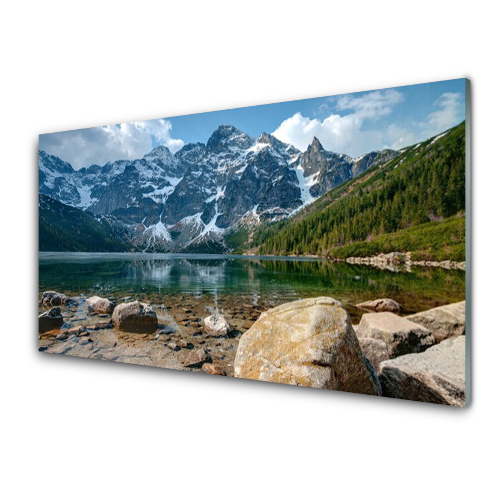 Obraz ze skla Hory les jezero Tatry