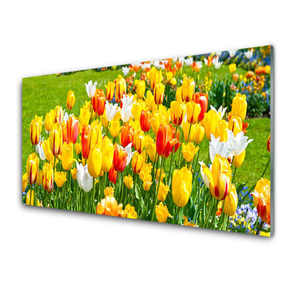Skleněný obraz na stěnu Tulipány na zelené trávě