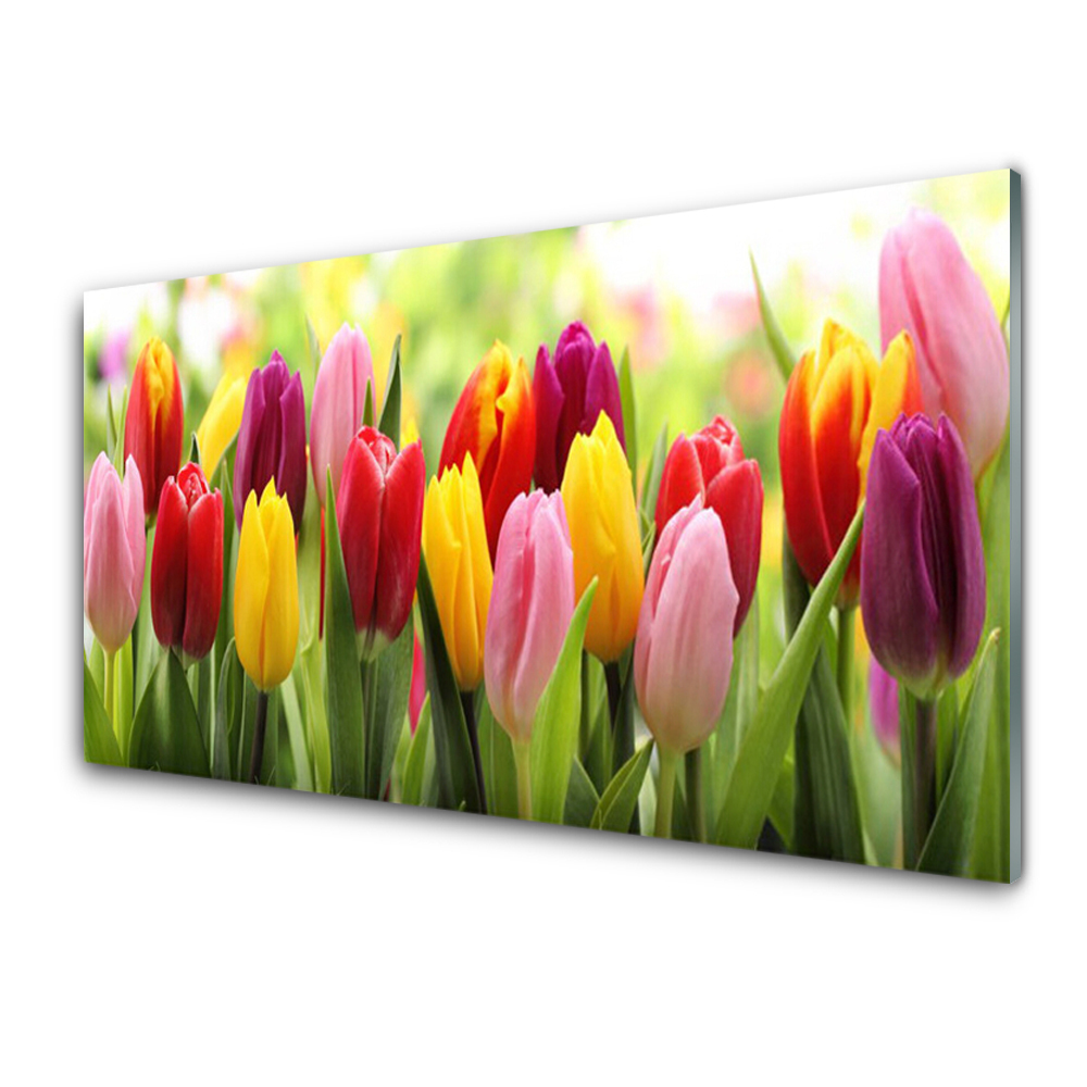 Obraz na skle Barevné tulipány Přírodní květiny