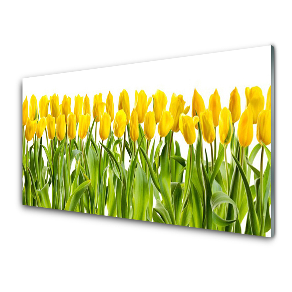 Moderní skleněný obraz Žluté tulipány ve dvou řadách