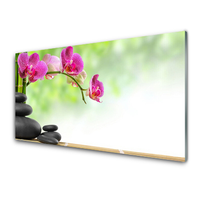 Obraz na skle Bambusové výhonky Kameny