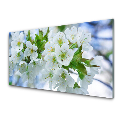 Obraz na skle Květy jabloní Příroda