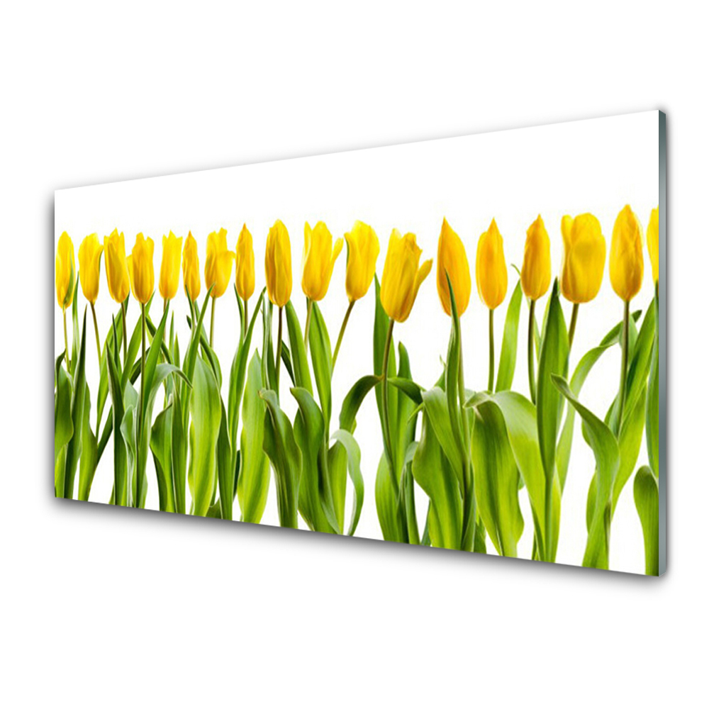 Skleněný obraz na zeď Řada žlutých tulipánů