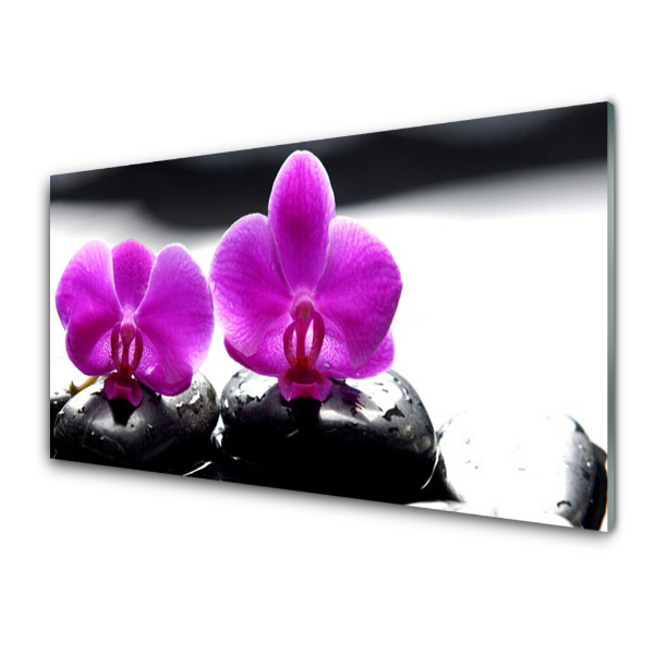 Luxusní skleněný obraz Dvě růžové orchideje a kameny