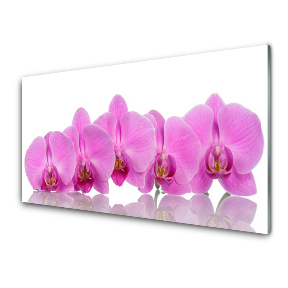 Skleněný obraz na zeď Růžové orchideje v řadě
