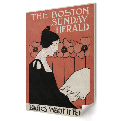 Tisk na plátno Stylová žena v Bostonu