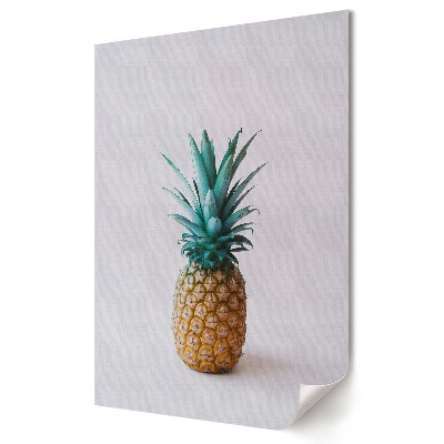 Nástěnná grafika na plátně Barevný ananas na minimalistickém pozadí