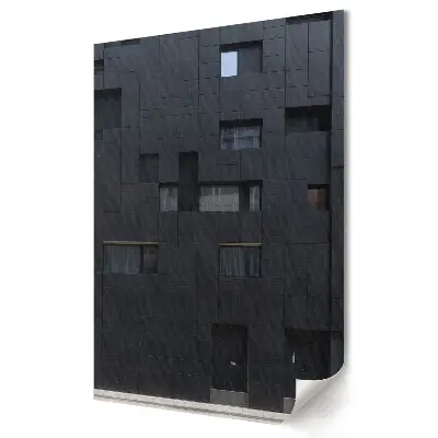 Obraz na plátně Moderní architektura v odstínech černé