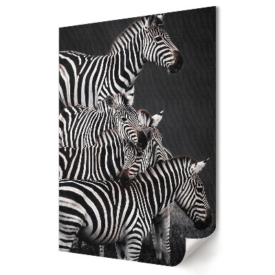 Moderní grafika na plátně Zebra v černé a bílé harmonii