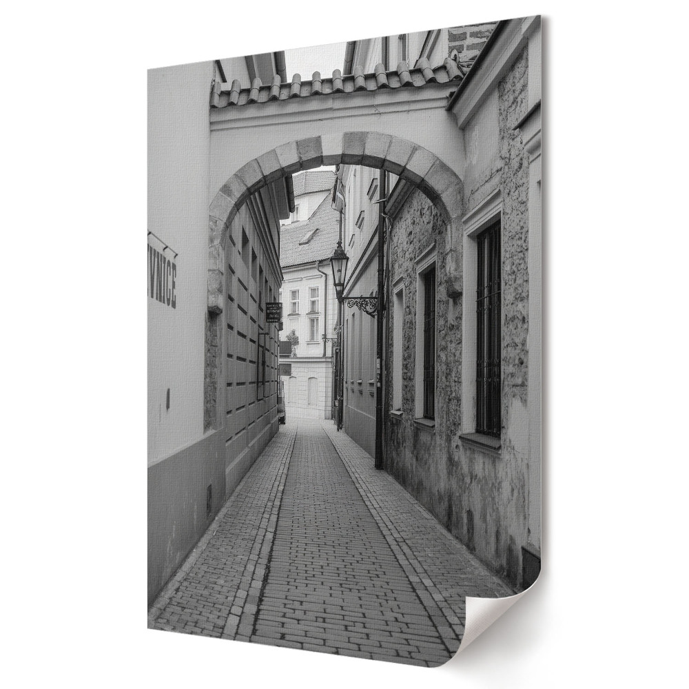 Nástěnná grafika na plátně Okouzlující ulička v monochromatickém prostředí