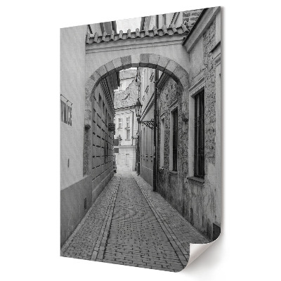 Nástěnná grafika na plátně Okouzlující ulička v monochromatickém prostředí