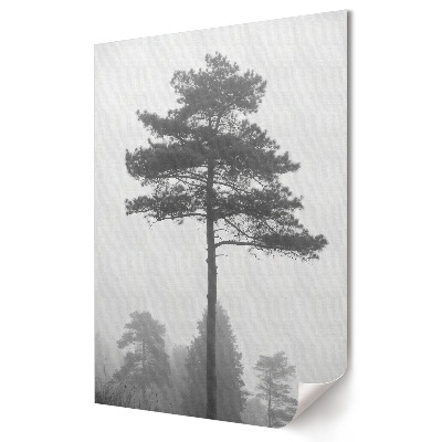 Plakát na zeď Misty Pine v černé a bílé
