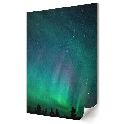 Moderní grafika na plátně Fenomenální polární záře v noci