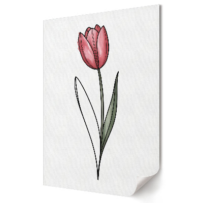 Moderní grafika na plátně Elegantní tulipán na bílém pozadí